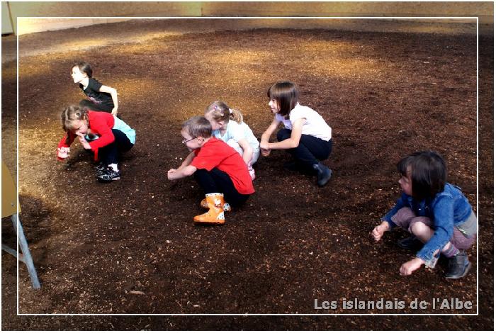 Apprendre à monter à cheval à pied