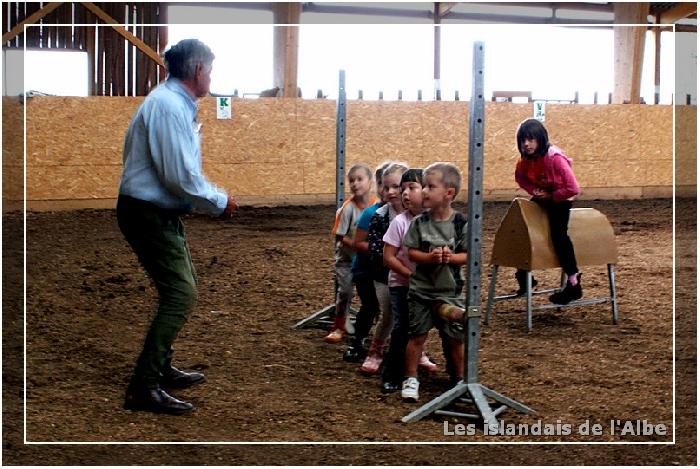 Apprendre à monter à cheval à pied