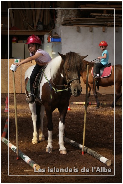 Atelier à cheval