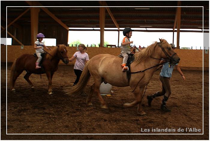 Atelier à cheval