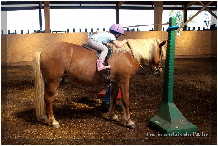 Atelier à cheval