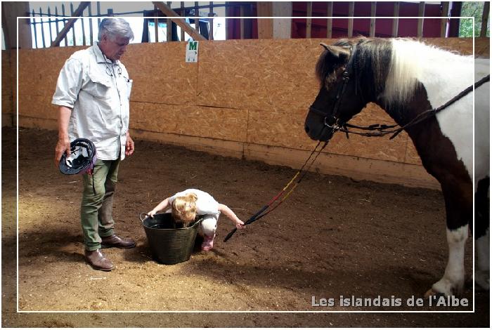 Jeu équestre de la chasse au trésor