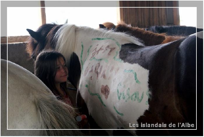 Peinture sur chevaux