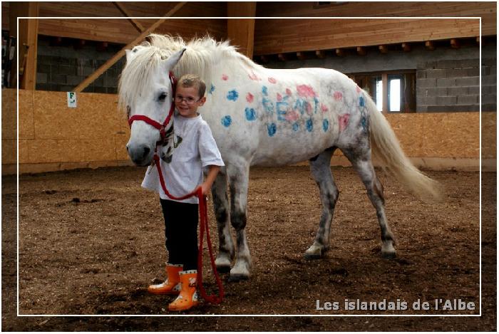 Peinture sur chevaux