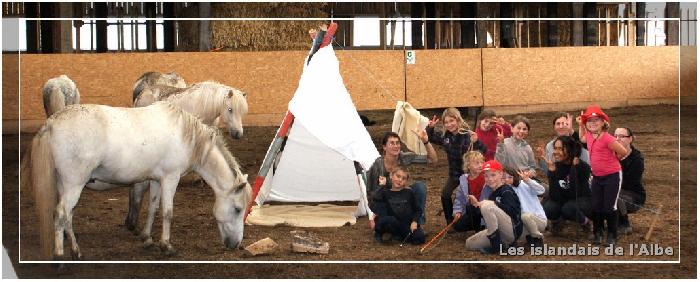 Travail des chevaux en liberté