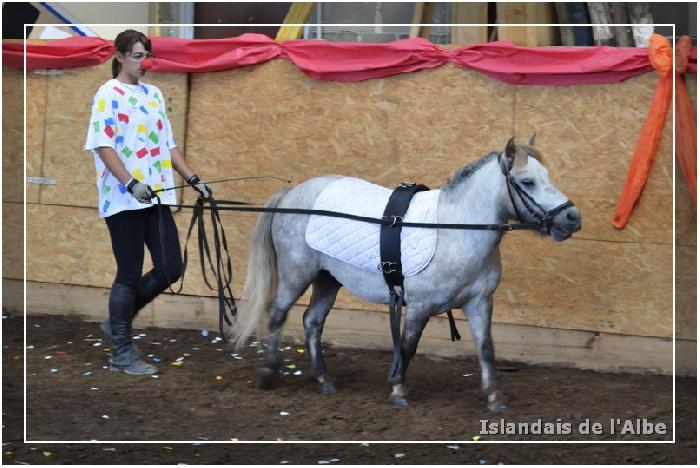 Les vacances à la ferme de nos Ados