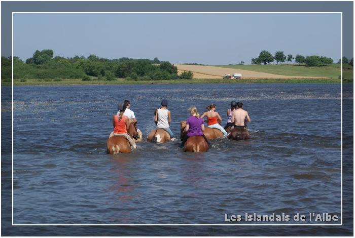 Baignade à cheval