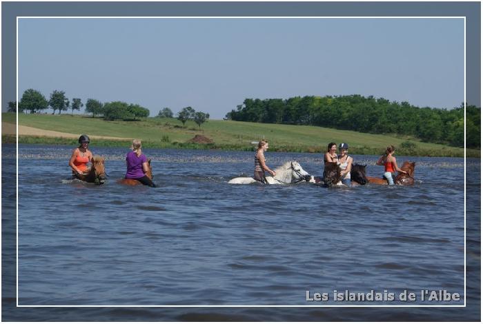 Baignade à cheval