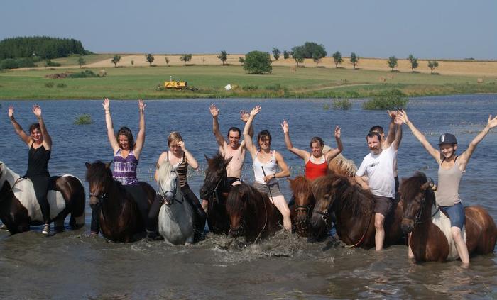 Le groupe de chevaux dans l'eau