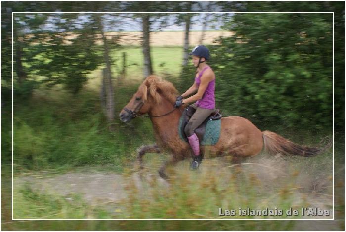 Au galop dans la mare