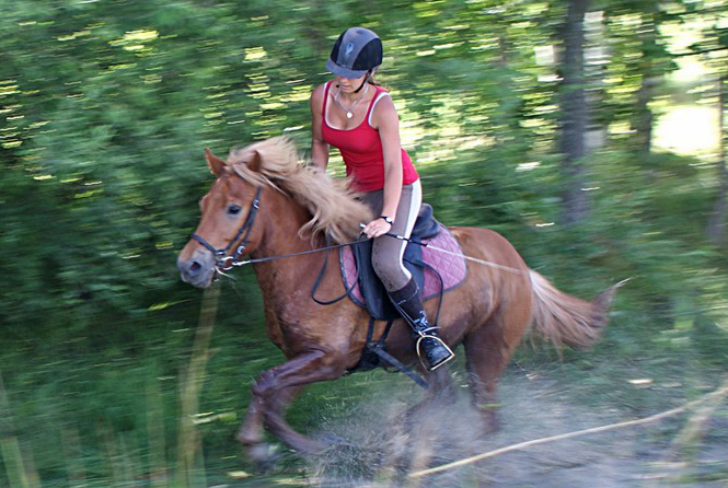 Au galop dans la mare