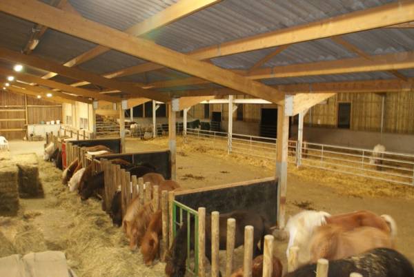 Nouveau batiment pour la ferme