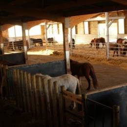 Nouveau batiment pour la ferme