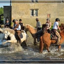 Randonnée du moulin de Harskirschen 2011