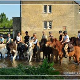 Randonnée du moulin de Harskirschen 2011