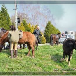 Randonnées à Montdidier 2011