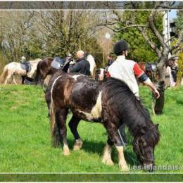 Randonnées à Montdidier 2011