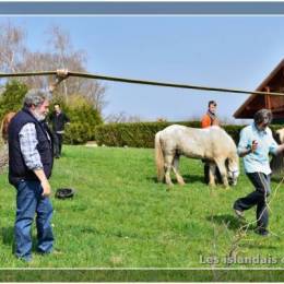 Randonnées à Montdidier 2011