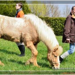 Randonnées à Montdidier 2011