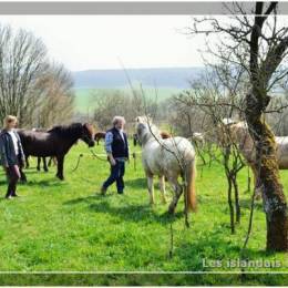 Randonnées à Montdidier 2011