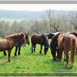 Randonnées à Montdidier 2011