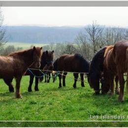 Randonnées à Montdidier 2011