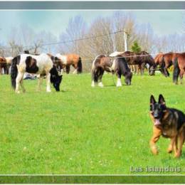 Randonnées à Montdidier 2011