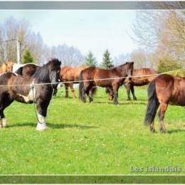 Randonnées à Montdidier 2011