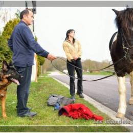 Randonnées à Montdidier 2011