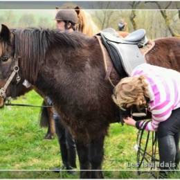 Randonnées à Montdidier 2011