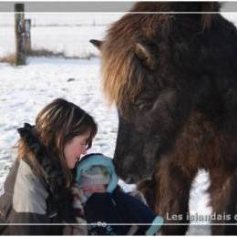 L'élevage en hiver - 2009