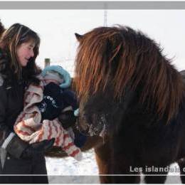 L'élevage en hiver - 2009