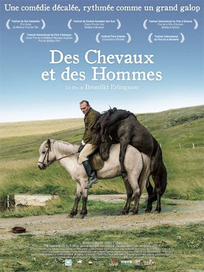 Un film sur les chevaux islandais !