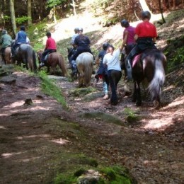 Rando Equi Handi - Abreschviller 2013