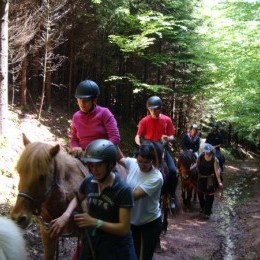 Rando Equi Handi - Abreschviller 2013