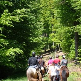 Rando Equi Handi - Abreschviller 2013