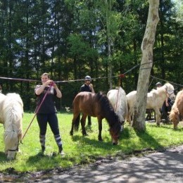 Rando Equi Handi - Abreschviller 2013