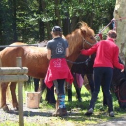 Rando Equi Handi - Abreschviller 2013