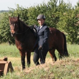 Concours d'équitation islandaise 2014