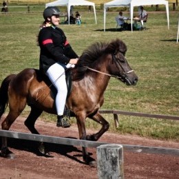 Concours d'équitation islandaise 2014