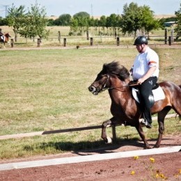 Concours d'équitation islandaise 2014