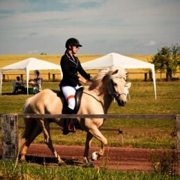 Concours d'équitation islandaise 2014