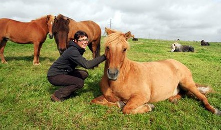 Presse : "Une passion équine digne d'une saga islandaise"