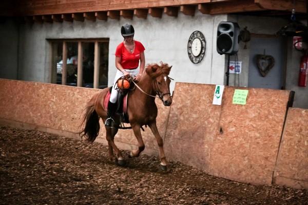 Horaires cours - Ecole d'équitation..