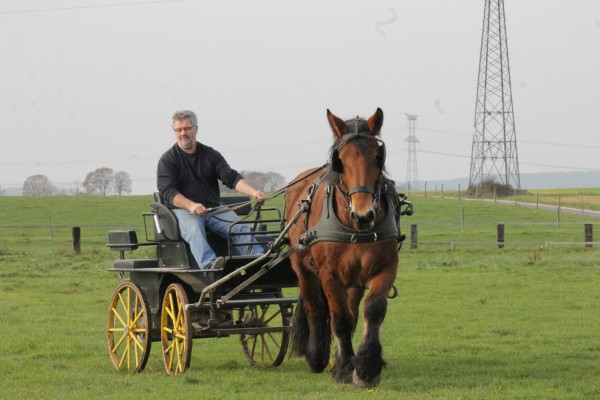 Un grand jour pour Brimbelle