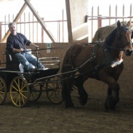 Un grand jour pour Brimbelle
