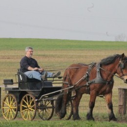 Un grand jour pour Brimbelle