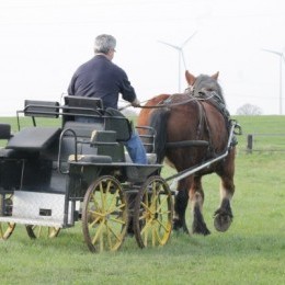 Un grand jour pour Brimbelle