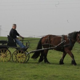 Un grand jour pour Brimbelle