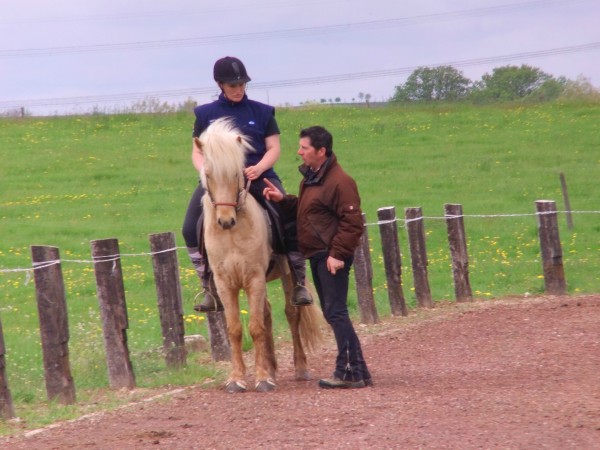 Stages d'équitation islandaise 2015